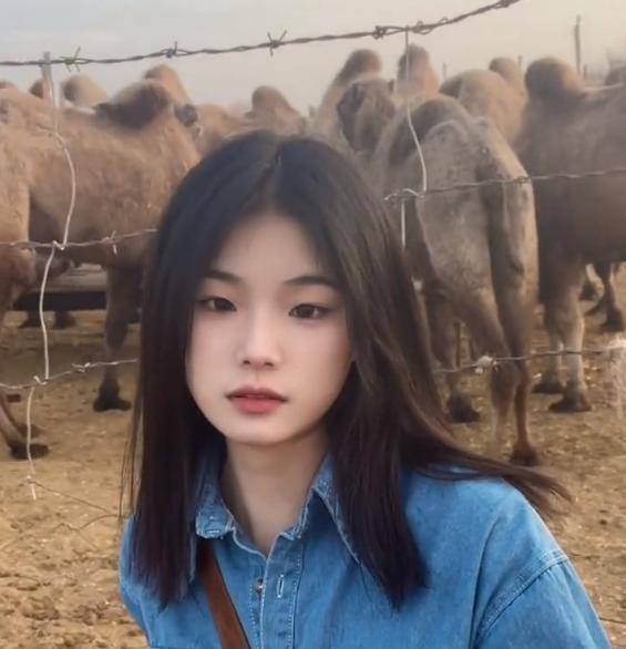 灰太狼|网红“灰太狼的羊”晒回村现状,评论区污言秽语:刘伟有什么错?