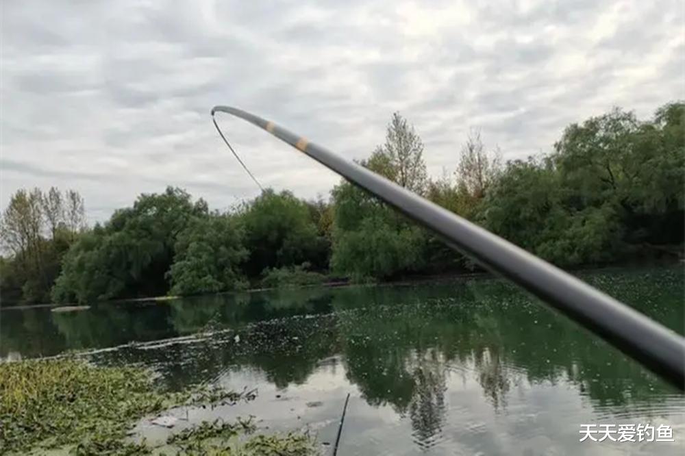 钓鱼必杀技:4种好用的逗钓方法,咬钩量提升十倍