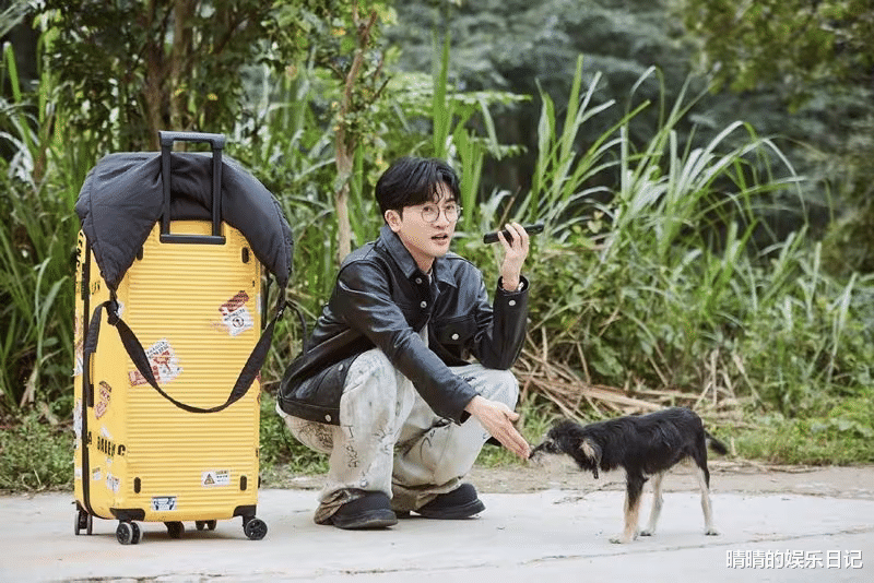 《我们的美好生活》首播惊艳！谢娜一出手，芒果台又抓到一张王炸