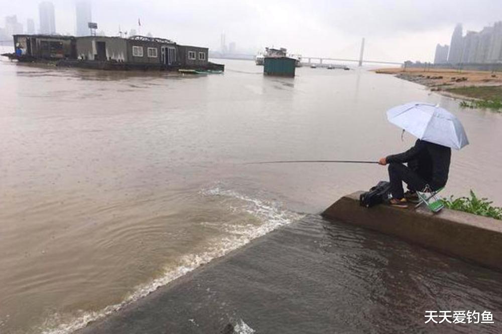 夏天野钓,3种位置全天“藏”大鱼,可钓白天也可夜钓