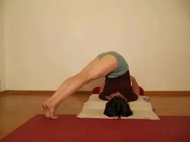 建议女性要多练习瑜伽犁式!