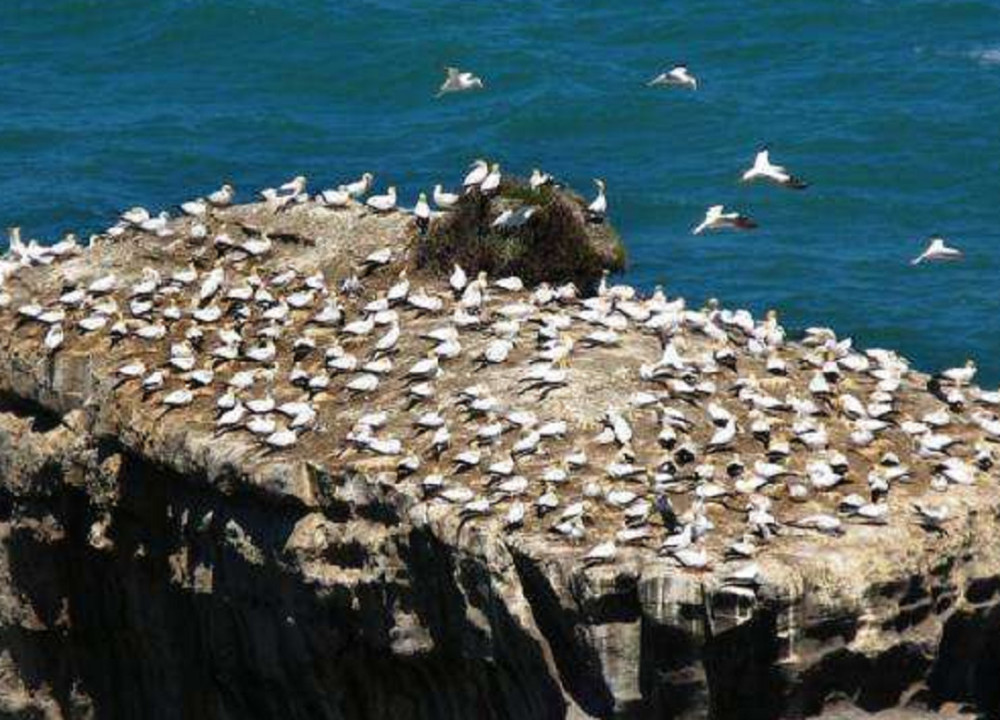 盘点世界九大奇葩国家,男人不仅可以穿裙子,还能"三妻四妾" - 美食