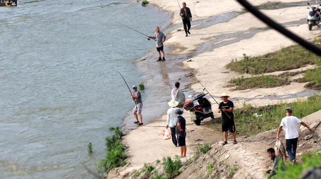 路亚竿|路亚成锚鱼幌子，禁绝已离不远，划清界限及时举报