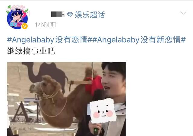 Angelababy否认恋情绯闻,承认自己目前仍是单身,专心致志搞事业