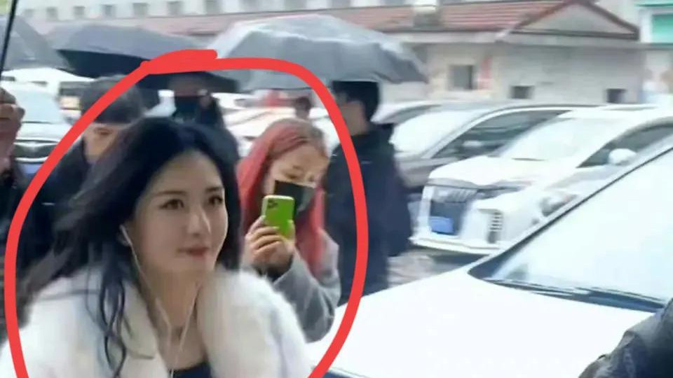 谢娜|谢娜急复出？接连加盟《萌探》和《浪姐》，《快本》5人现状如何