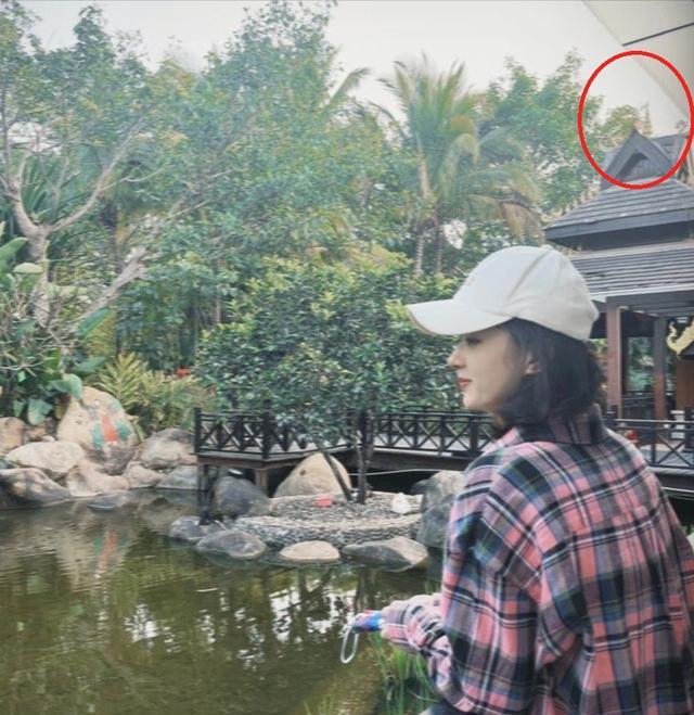 赵丽颖|赵丽颖发文告别三月,配图透露行踪,或已转场西双版纳