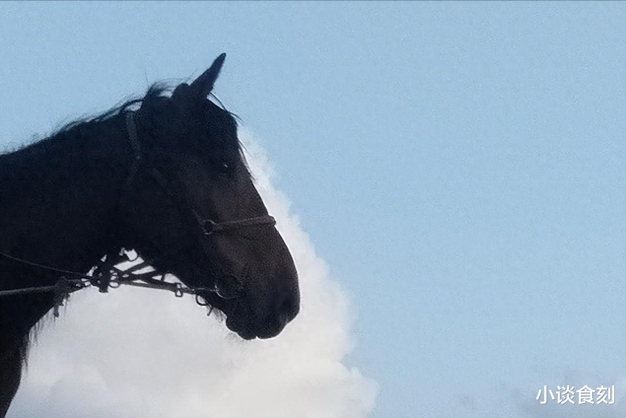 |明日冬月十四，老人说“马奔午门日，不做三件事”，指哪3件事？