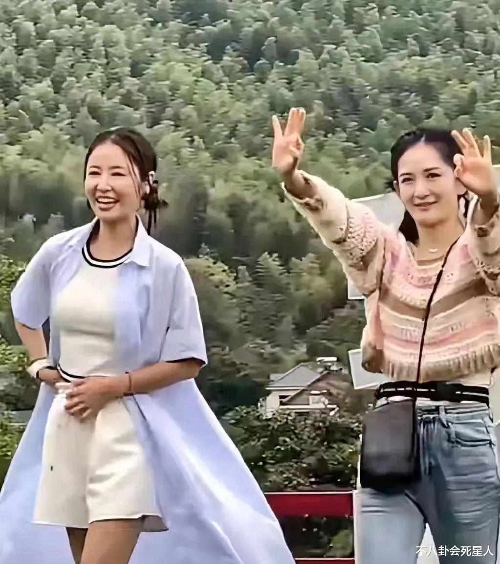 官宣新综艺被抵制,这一次,林心如不再被观众宽容