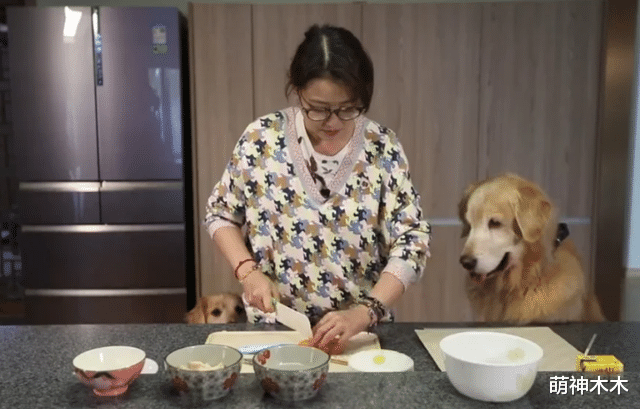 周海媚被曝在抢救！网友怒斥媒体添乱：有生命体征，全力抢救中