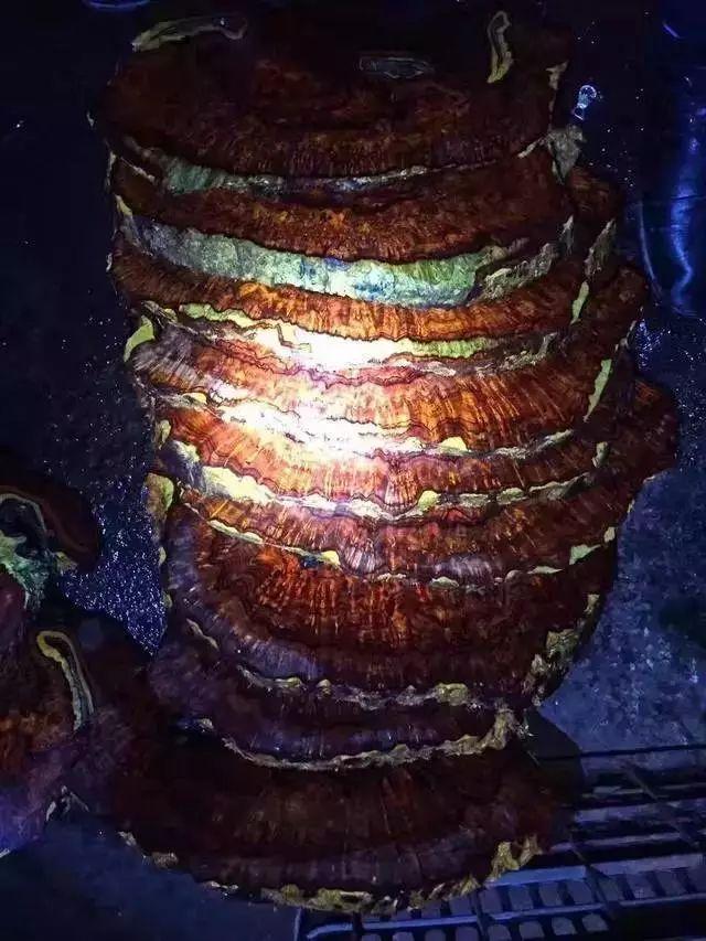 9万块收来的紫檀木，一刀切开后笑的不要不要的！