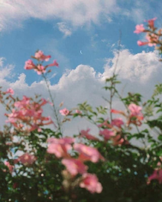 一个男人，如果把烟和酒都戒掉了，那他有3个目的