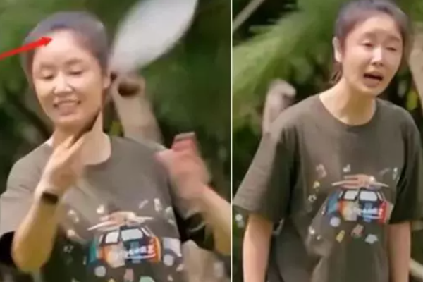 林心如|网传林心如怀孕,打球时肚子凸起,被嘲高龄生子