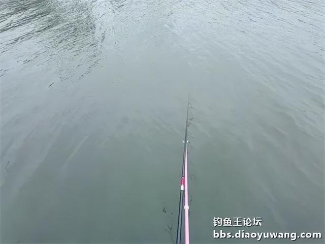 地狱猫搭档不一样，鱼获却极其相似