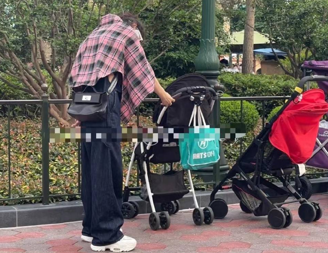 婴儿车|颖宝带娃逛乐园，拎13万包包忙自拍，4岁“想想”坐婴儿车引争议