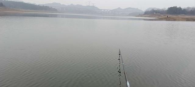 |兔年首钓开年红!痛并快乐着