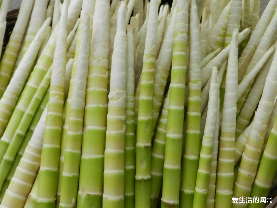 桑葚|4.20号谷雨，无论多忙，记得吃1肉，2果，3菜，应季而食身体棒