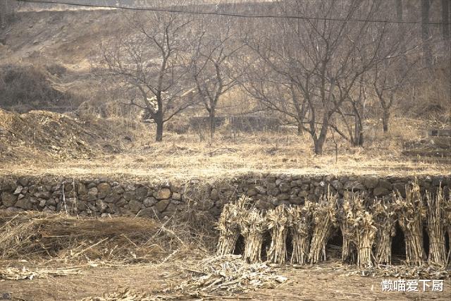 寒衣节|明日十月一“寒衣节”，1物不摆、2地不去、3样要吃，莫忘老传统