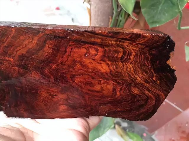 文玩|买回烤焦的“羊腿”,现场切开一看倒乐了