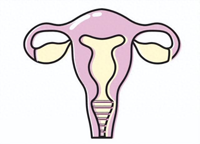 医生提醒:子宫“不欢迎”4种水果,女性要远离,常吃4种暖宫食物