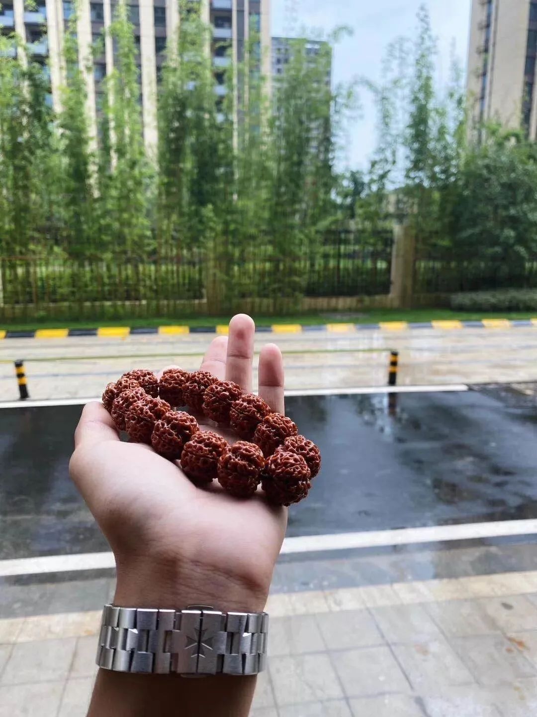 文玩|有的串儿，不用上配饰就很美了