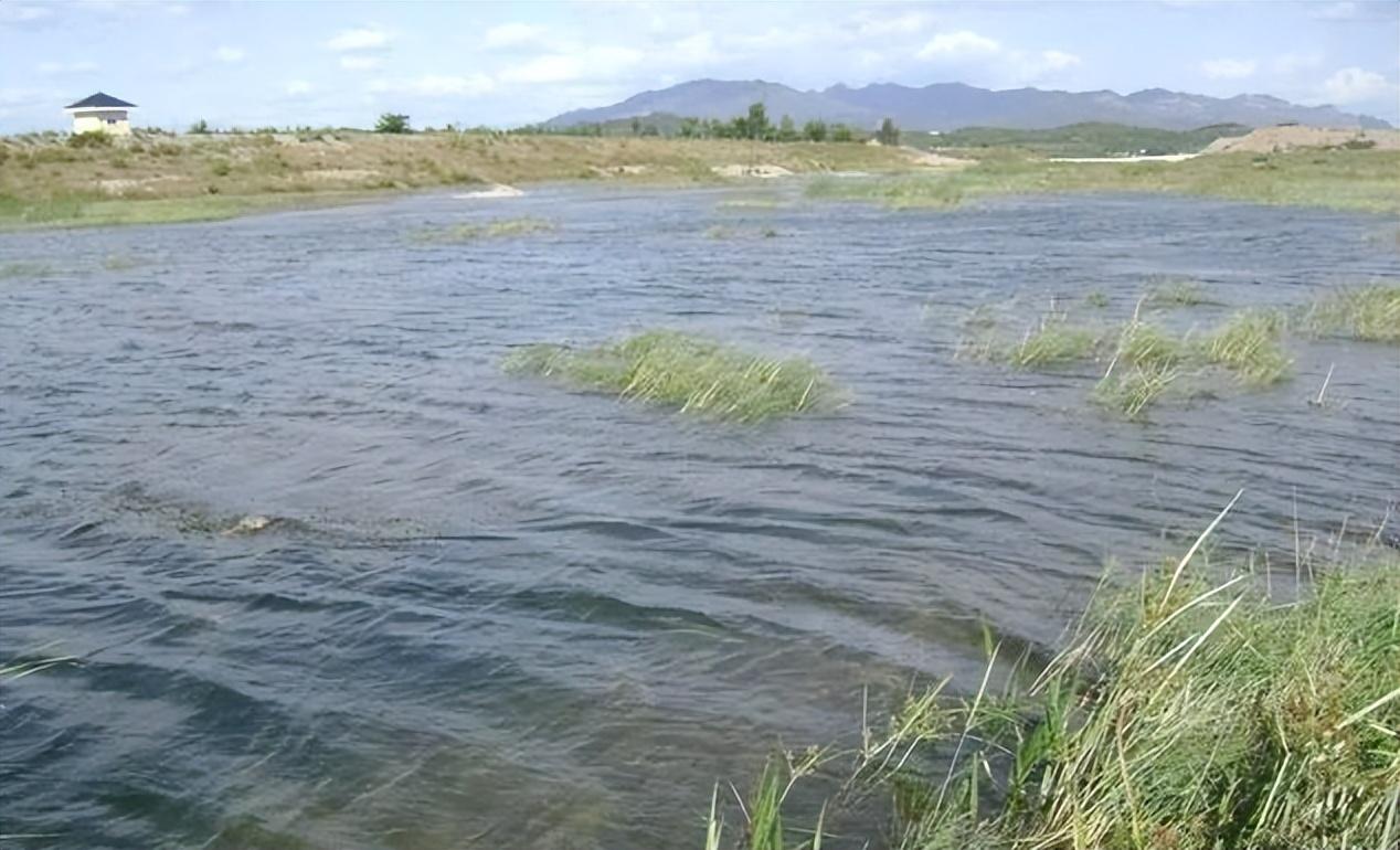 影响鱼类开口的8大客观因素,可以用来估算渔获量,钓友必看