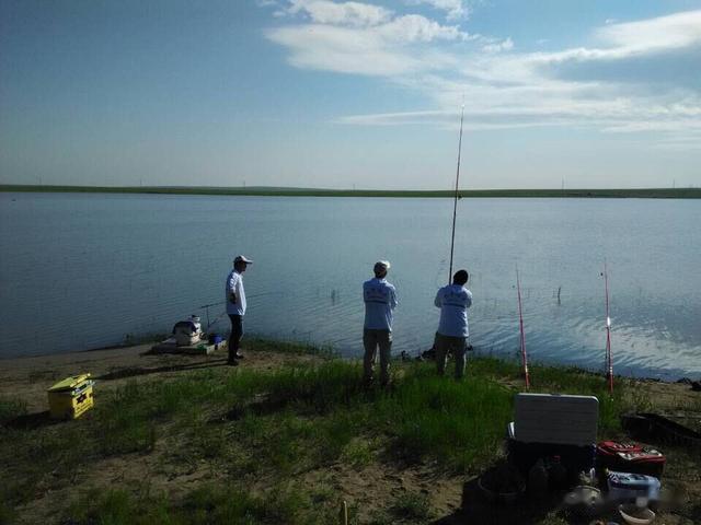 草原|游钓水美鱼肥的草原湖泊,看牛羊成群,钓湖中大鲤鱼