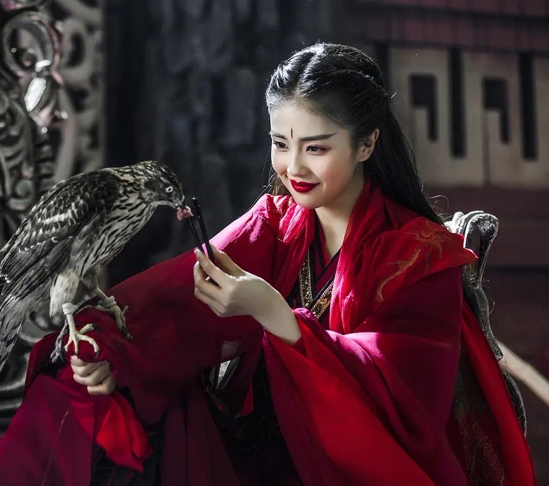 这一次,29岁的白鹿,不再被广大网友宽容