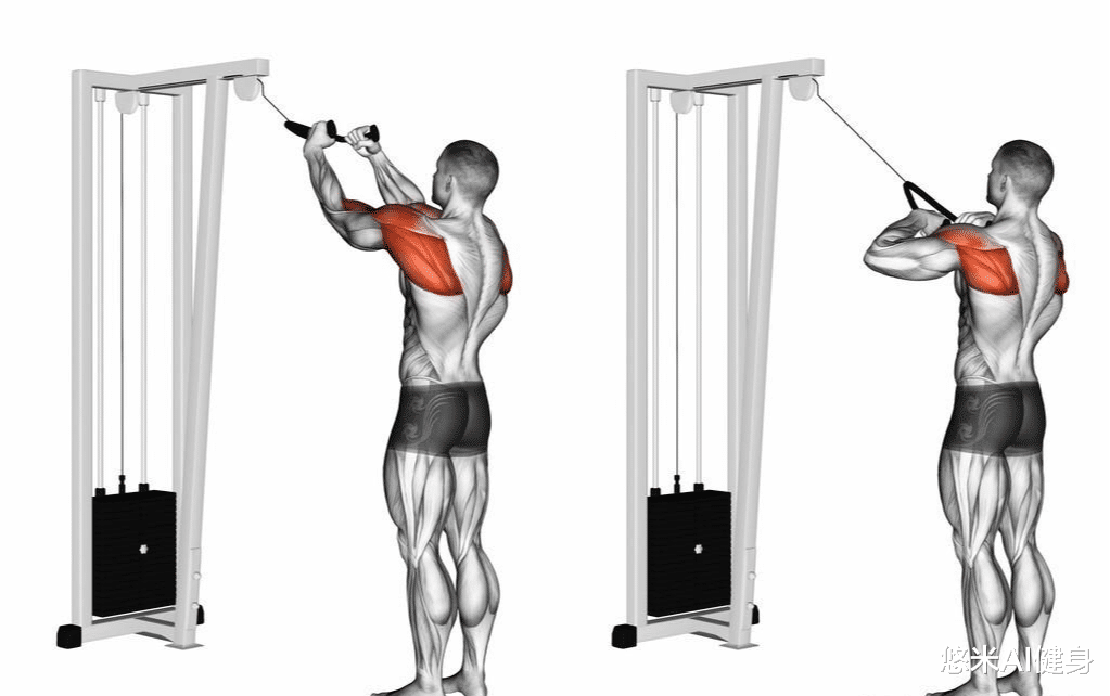 肩部肌肉的详细训练方法，6个动作每周练1次，打造饱满球形肩