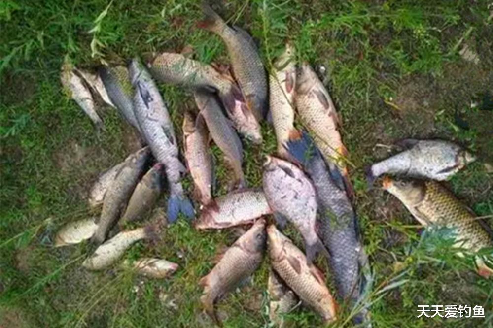 传统钓的“5种武器”,钓法都跟铅坠有关,通杀各种水面