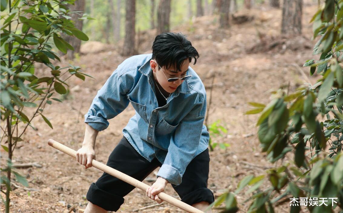 黄磊|大华回归！可惜已经变味儿了