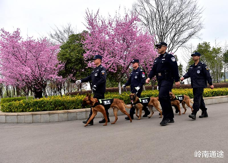 |辅警招聘,待遇为扣除五险一金4300元左右,这个工作怎么样?