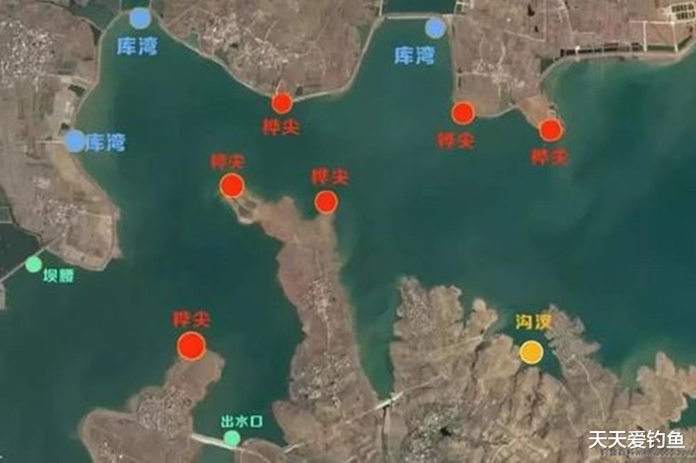 野钓|野钓水库，看图学习选钓位，大鱼就在这里扎堆