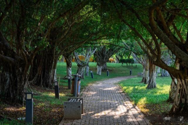 临近退休三到五年的时间，请尽快要做好这6点准备，确保平稳退休