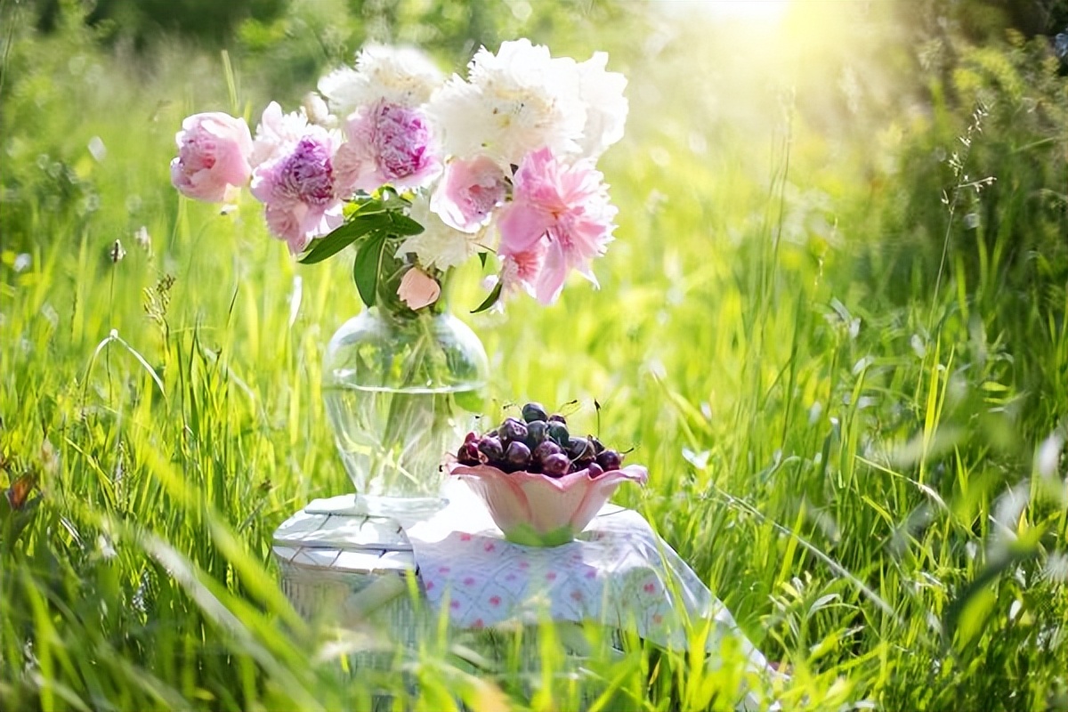 工作的意义与价值:奉献、品德塑造与社会贡献