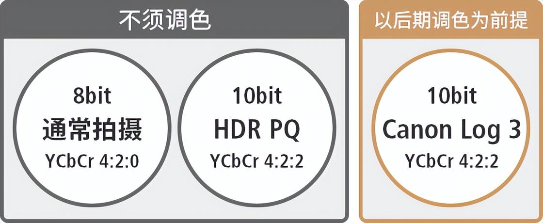 华为|佳能R8登场，或比R6 MarkII便宜6000元，啥情况下值得考虑？