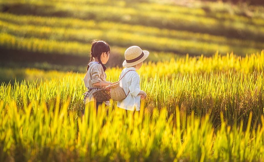 |聪明的父母,做好4件事就够了