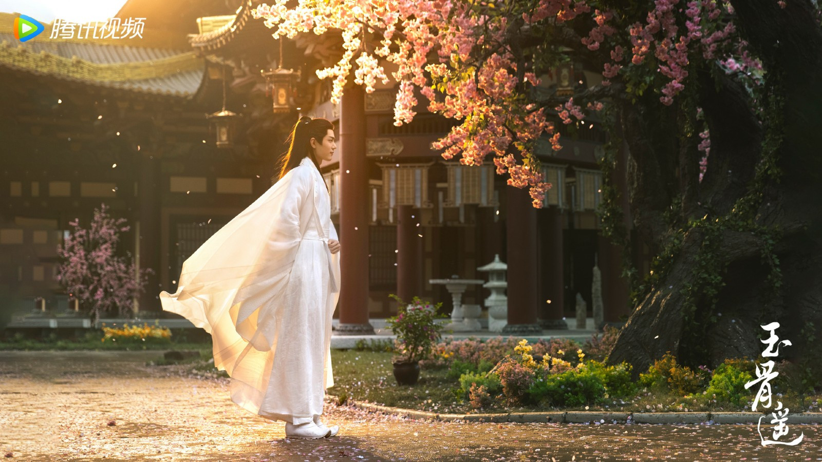 真打脸！官媒发长文点名肖战，才发现我们看错剧了