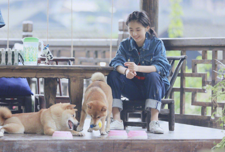 向往的生活|遗憾，向往的生活录到第七季，停止录制