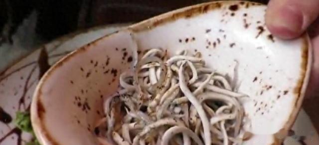 鳗鱼|曾经是猪饲料,现在却被卖到1万一斤,被誉为“西班牙国菜”?