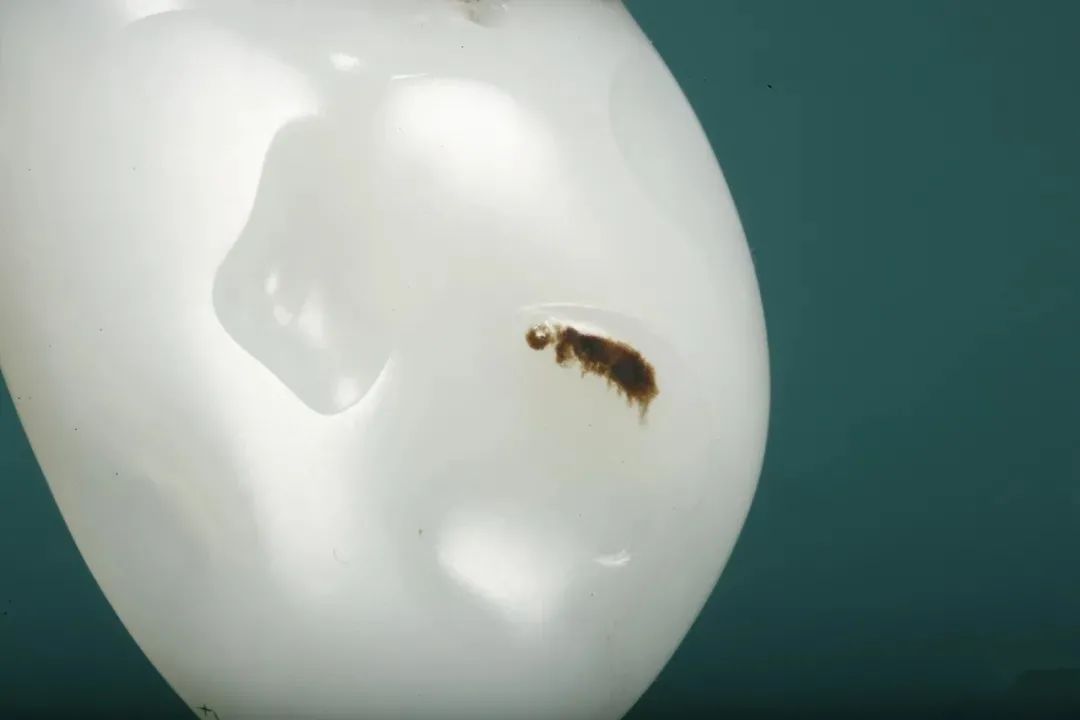 盘好了,价值能翻倍的籽料