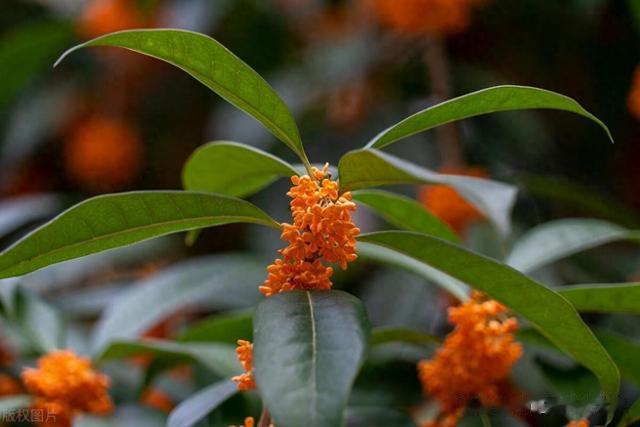 伤精过度，人菜瘾大，补而无用？那是因为出现了这两种情况