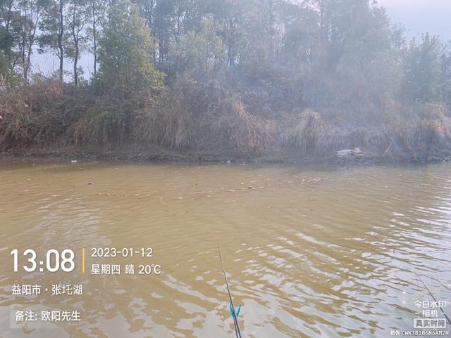 |新年第四钓,借势有成效