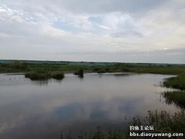 情理之中的“爆护”
