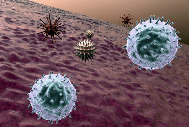 72岁老人，常用黄芪加“它”煮水，癌细胞一天比一天少