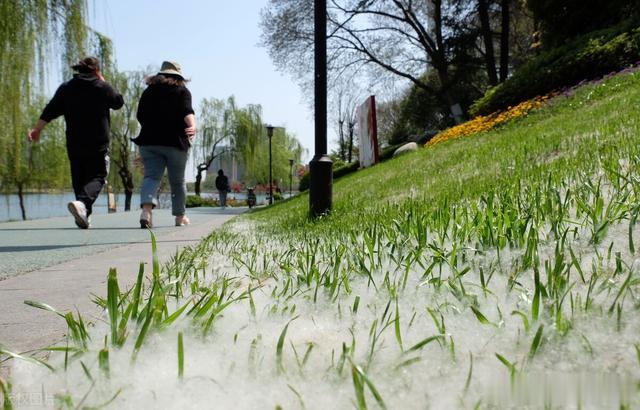 钱币|适合春天盘的文玩,修复色差愈合开裂,赶快动起手来吧