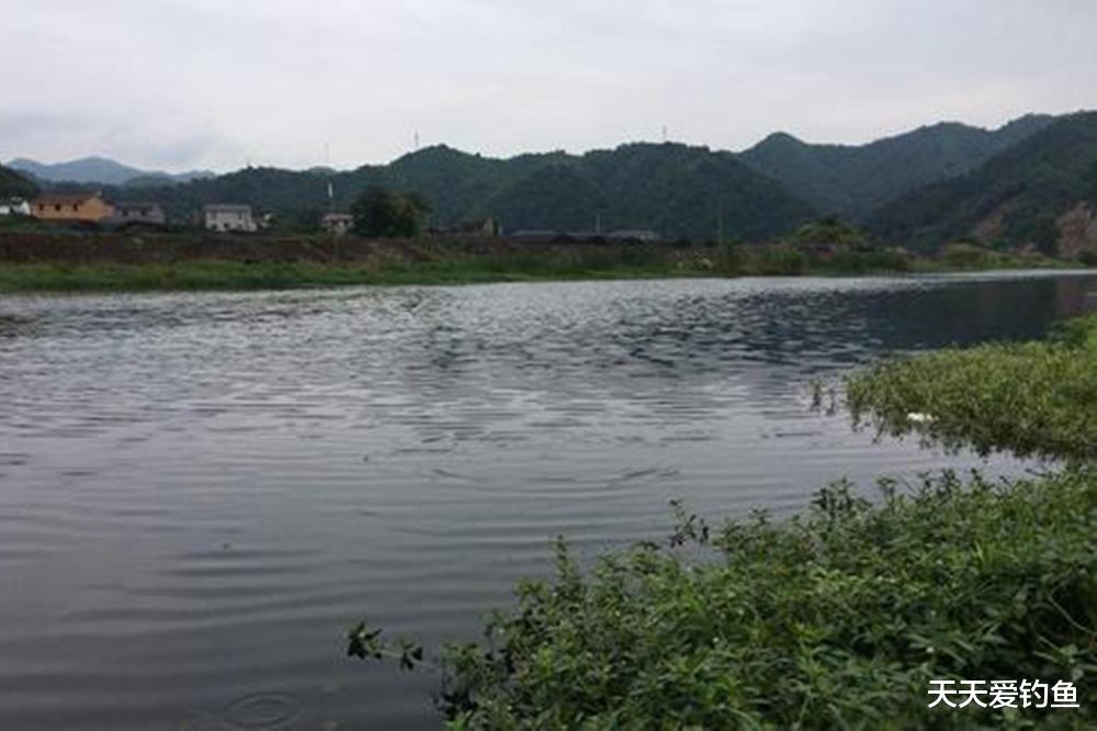 鲫鱼|夏季钓鱼6字诀，只要找准方法，再热都可以钓鱼