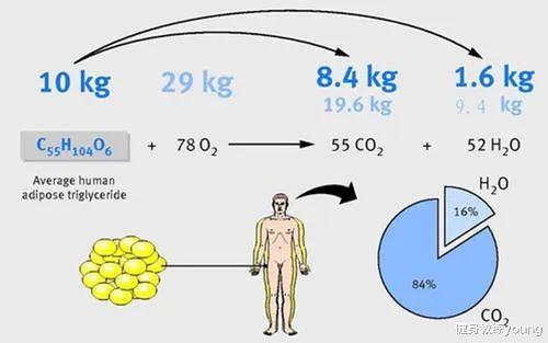 一些关于减肥的大实话,可能会被骂