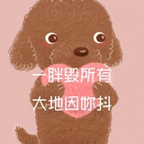 关关记笔记