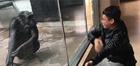 集成电路|“总经理办公室这样设计，要不要加厚隔音墙呢？”哈哈哈哈哈太有才了