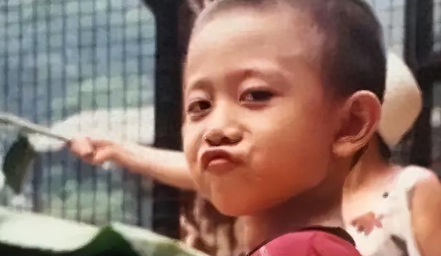 形象塌房，演技拉胯，是金星看错了张一山？